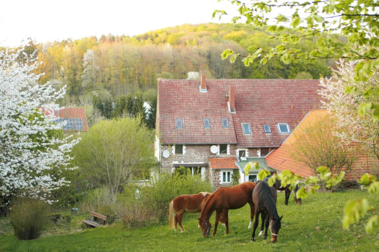 Eichenhof Kalletal Εξωτερικό φωτογραφία